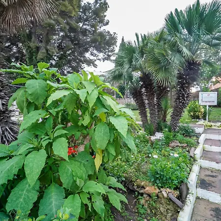 Apartamento Playa La Carihuela Wi-Fi